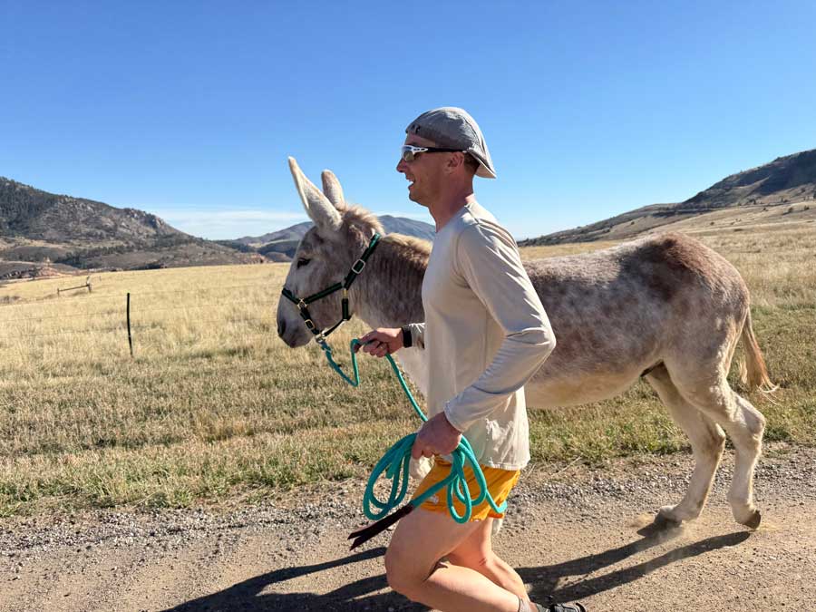 Running with a donkey