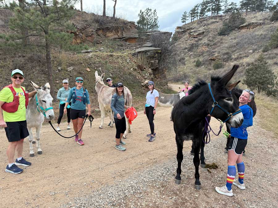 Participants with donkey